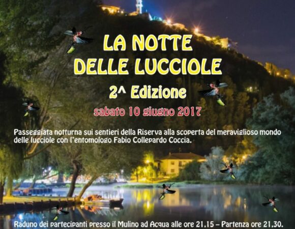 LA NOTTE DELLE LUCCIOLE – Posta Fibreno (Fr)