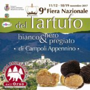 Fiera del Tartufo a Campoli Appennino