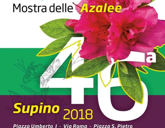 46′ MOSTRA DELLE AZALEE – Supino (FR)