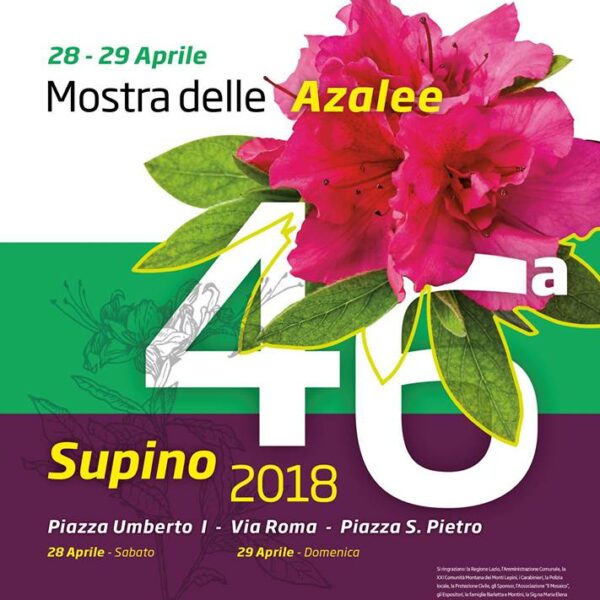 Mostra_Azalee_Supino_fr_2018