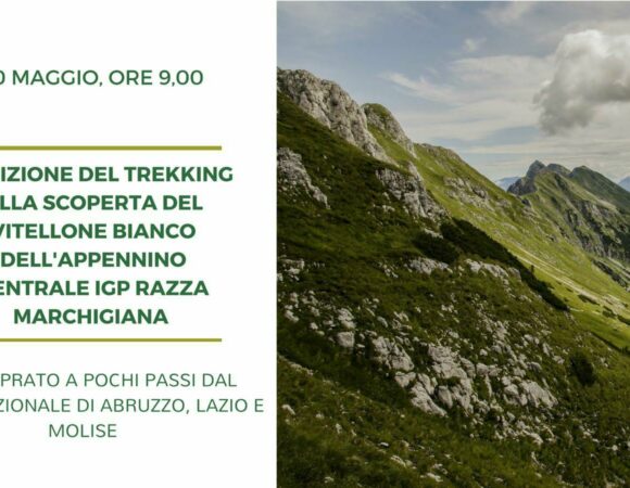 TREKKING ALLA SCOPERTA IGP MARCHIGIANA