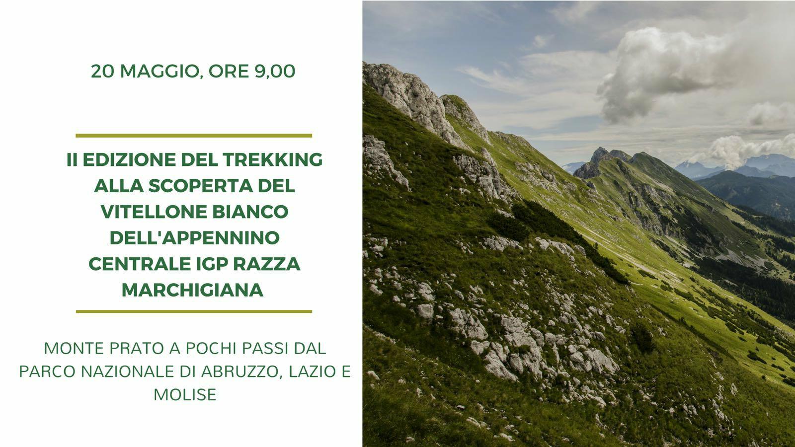 II° Trekking alla scoperta IGP Marchigiana