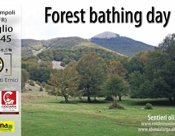 FOREST BATHING DAY – Prato di Campoli (Fr)