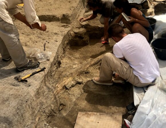 Resti di un pachiderma vissuto 400.000 anni fa